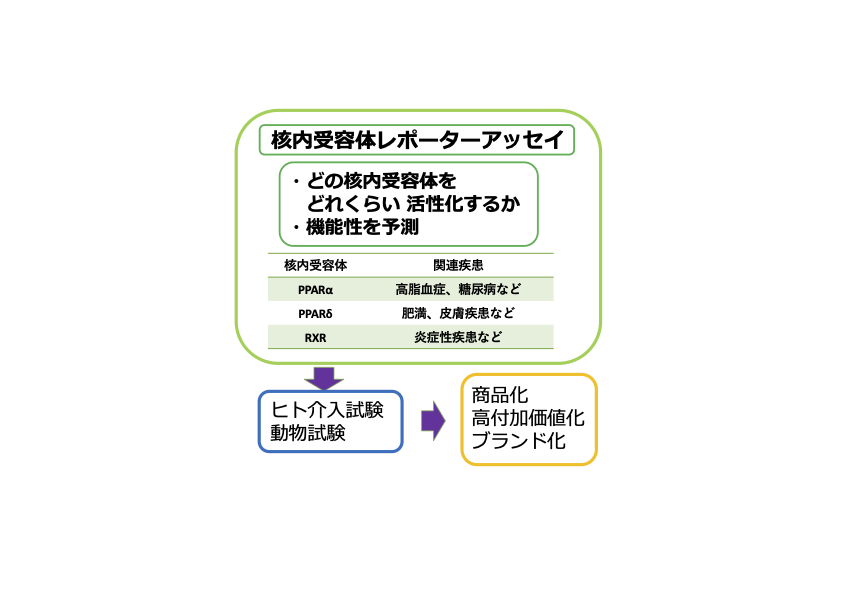 核内受容体を利用した細胞による食品の機能性評価の図