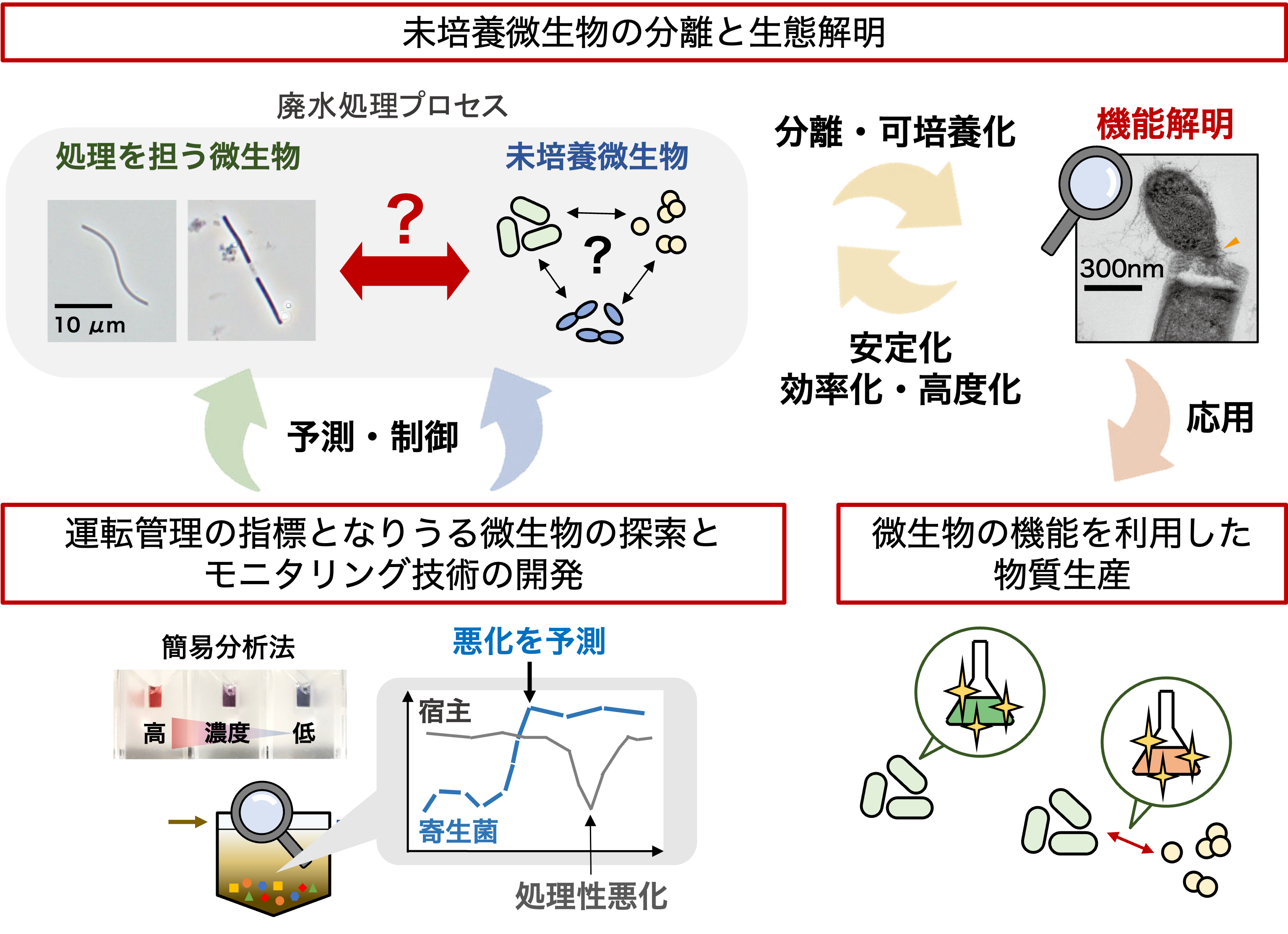 研究紹介図