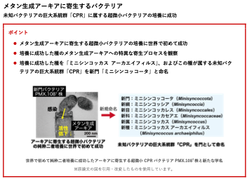 廃水処理プロセス内の未培養微生物の分離培養技術の図