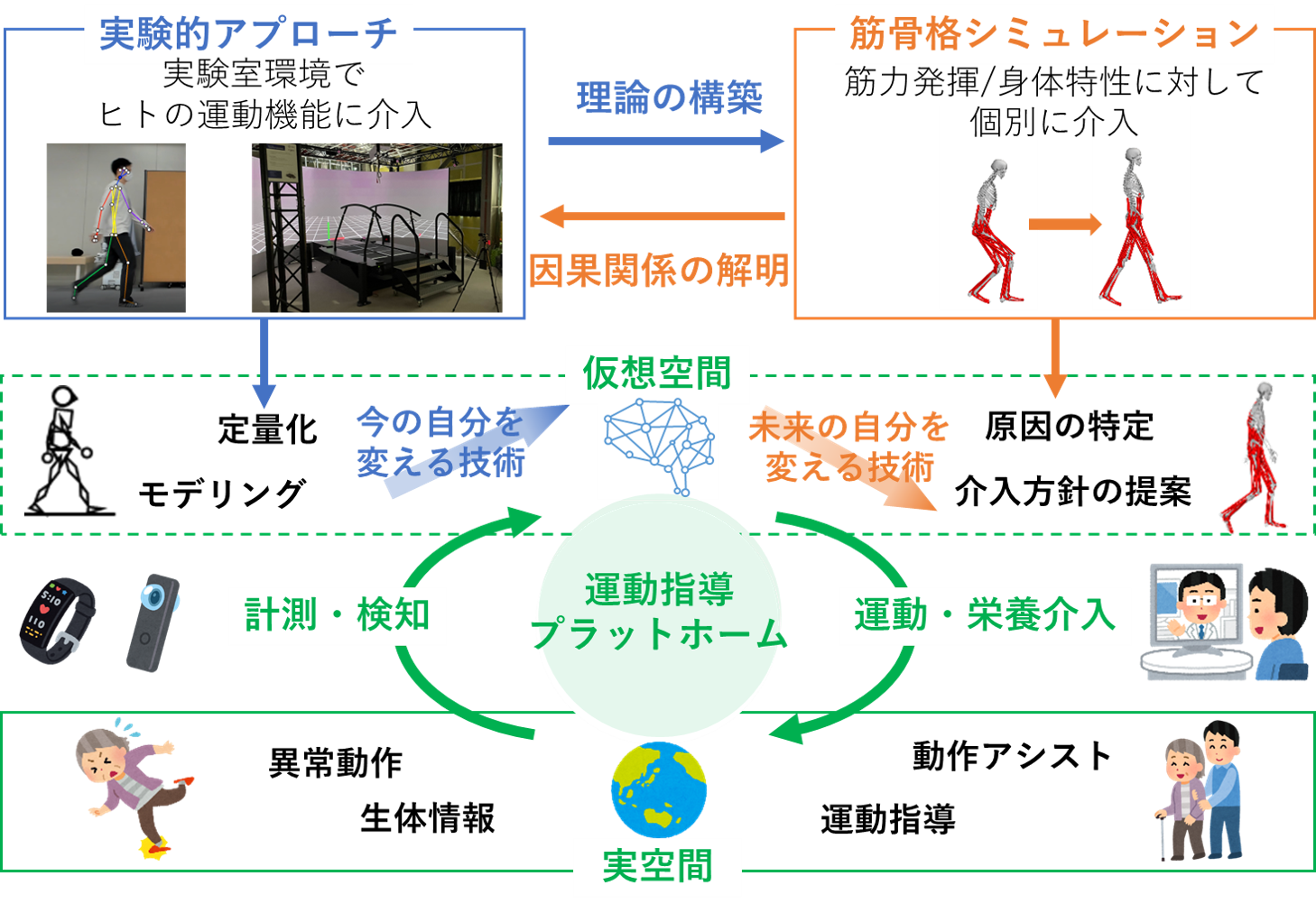 研究紹介図