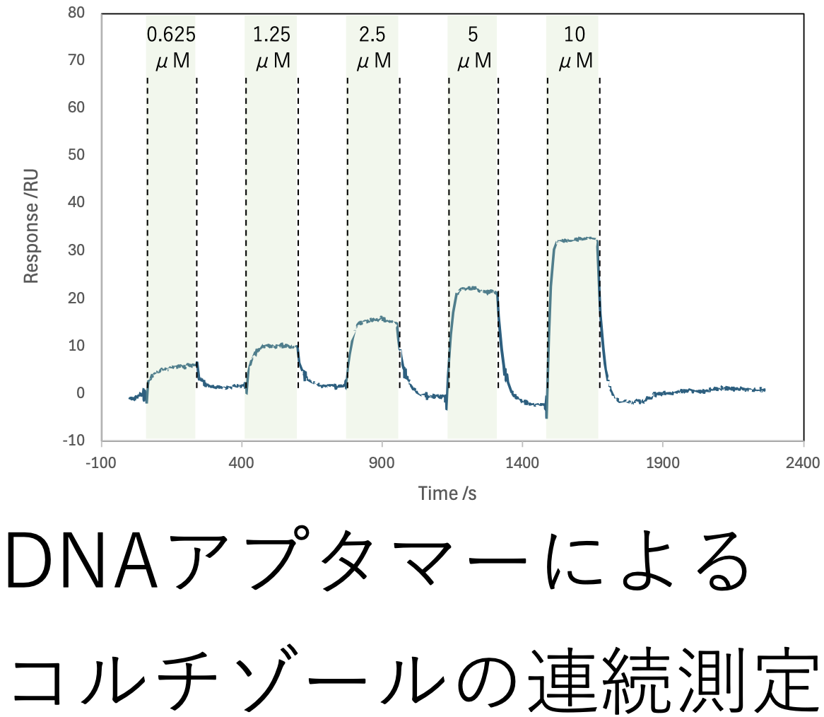 アプタマーを用いたリアルタイムストレスセンサの開発の図