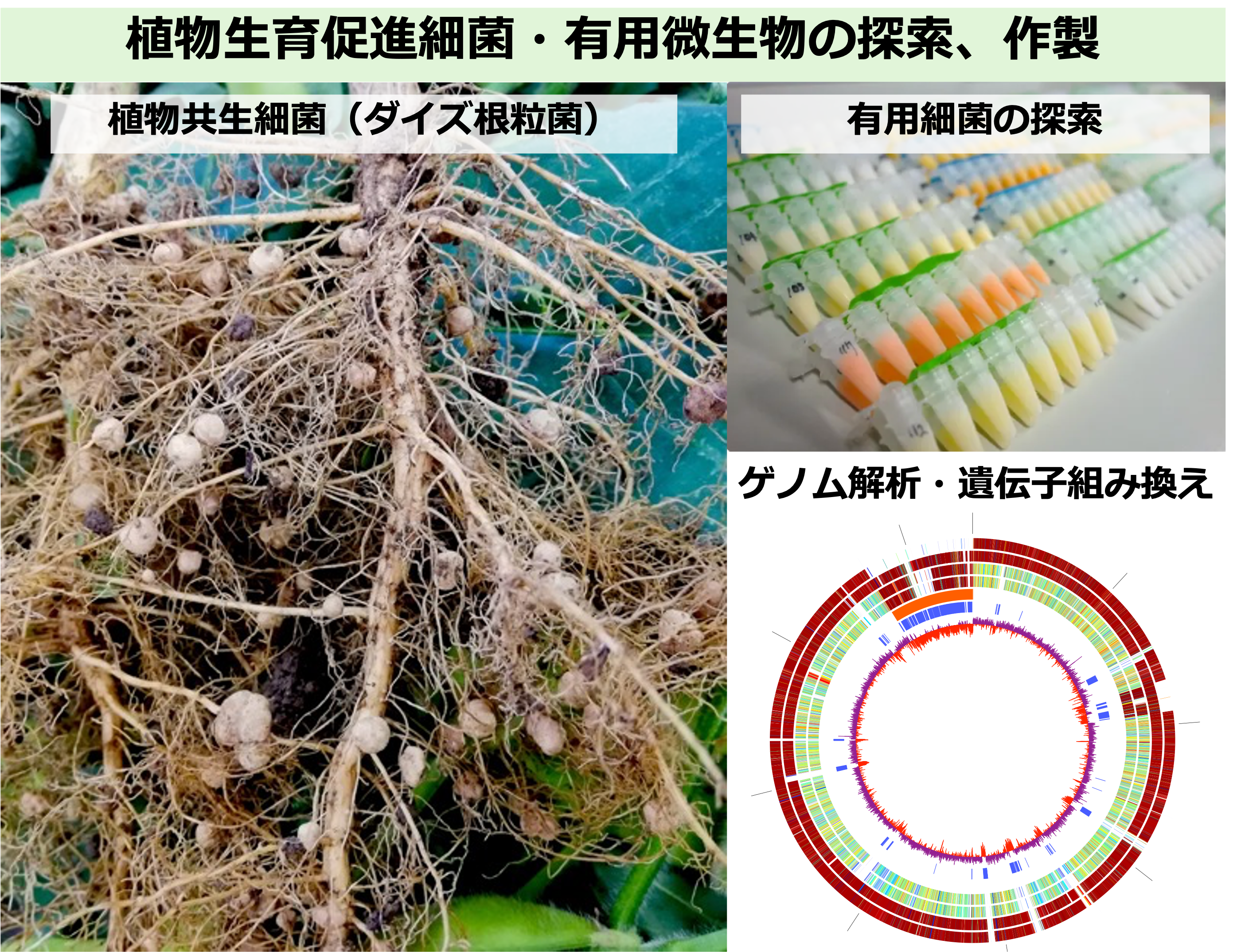 研究紹介図