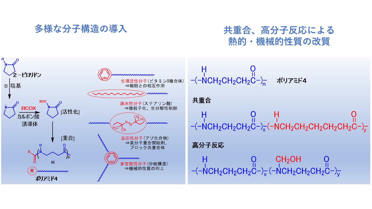 研究紹介図