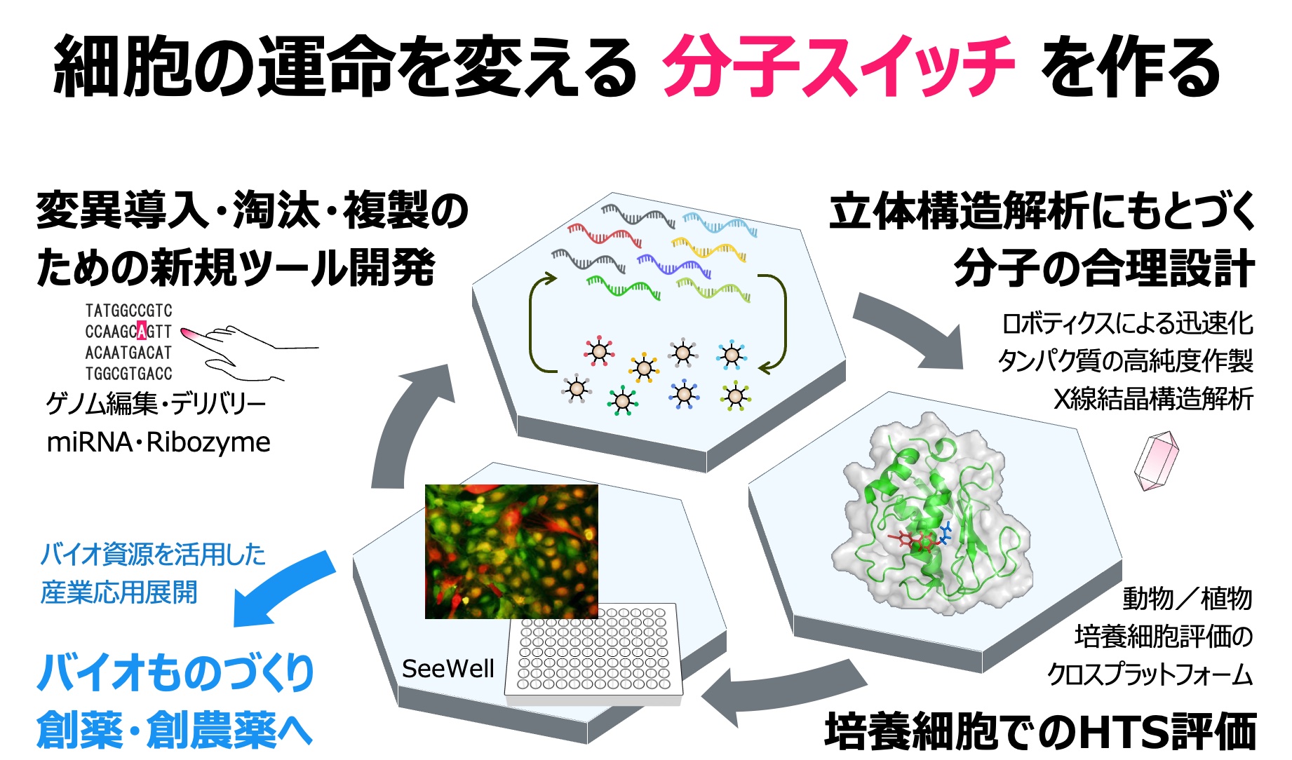 研究紹介図