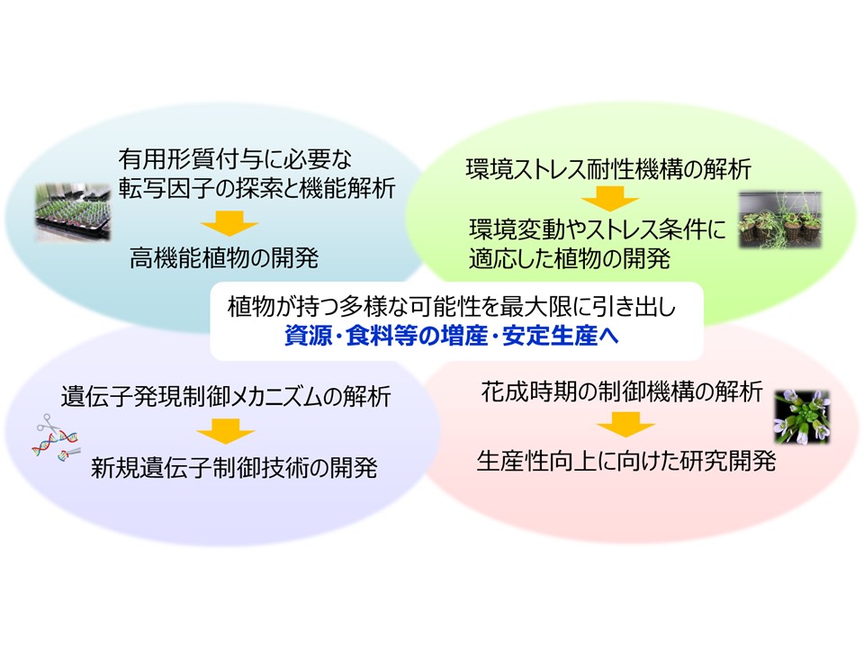 研究紹介図