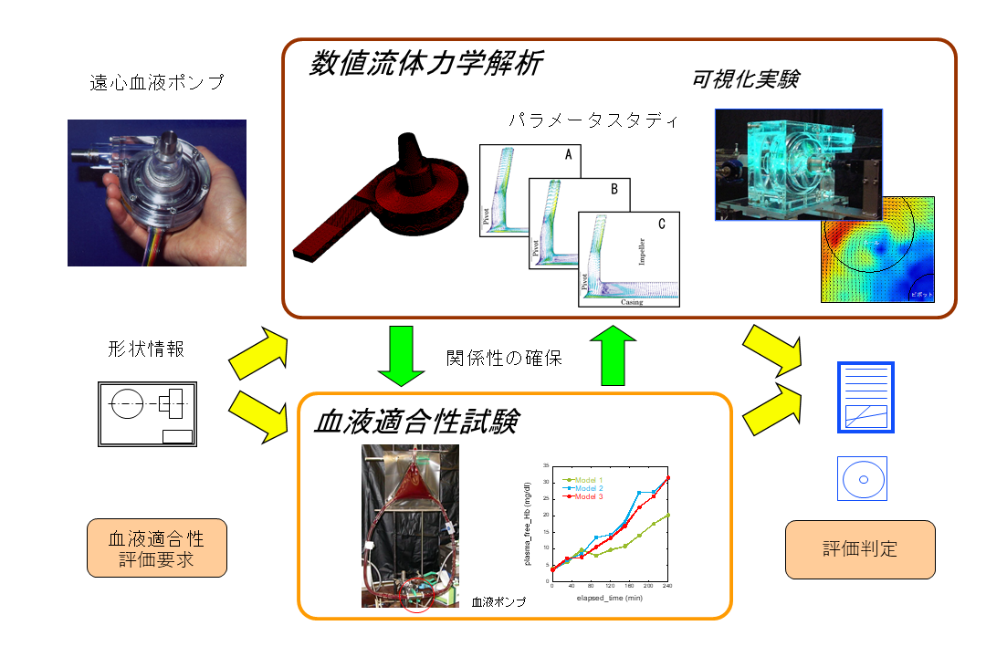 研究紹介図