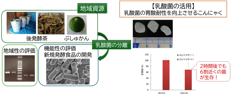 研究紹介図