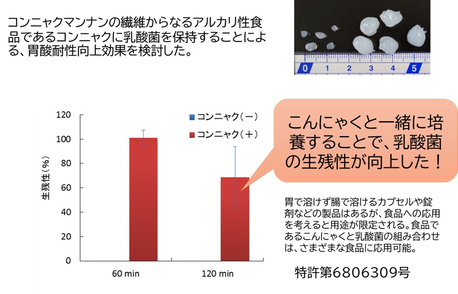 乳酸菌の胃酸耐性を高めるこんにゃくの図