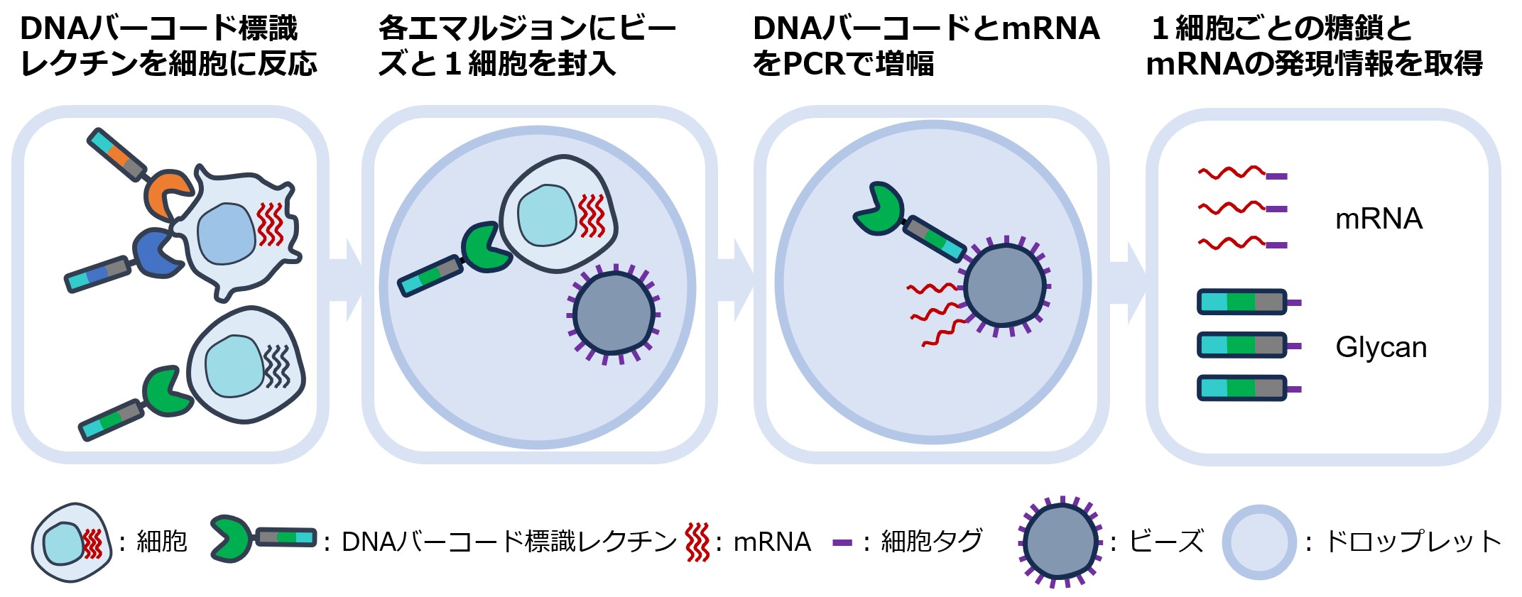 1細胞グライコーム解析技術の図