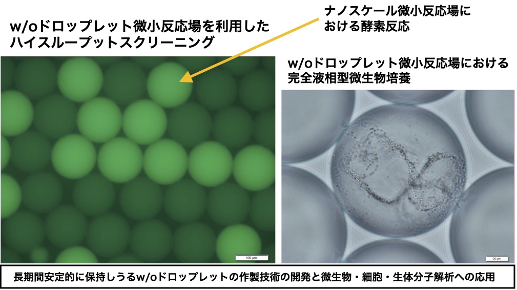 研究紹介図