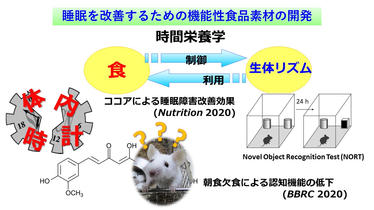 研究紹介図