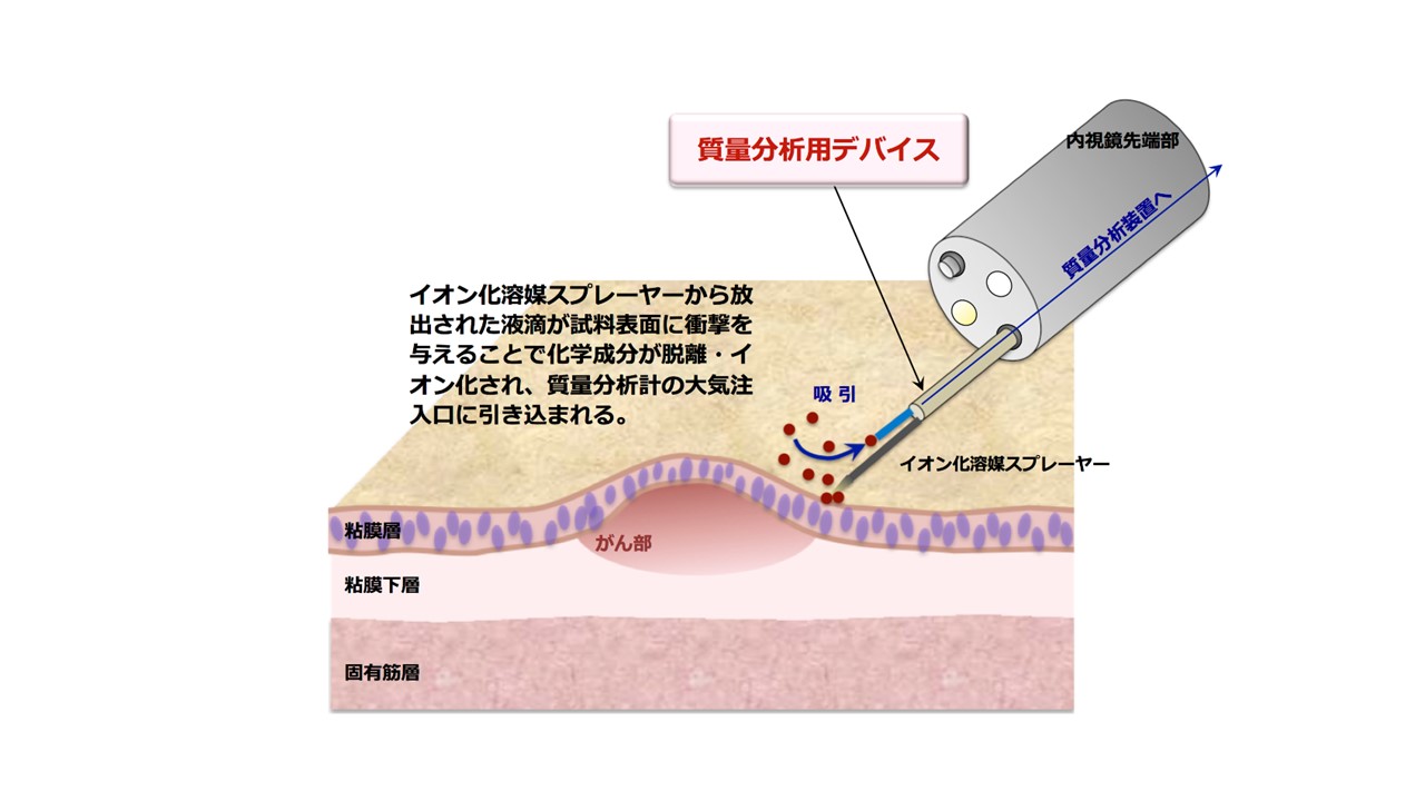 研究紹介図