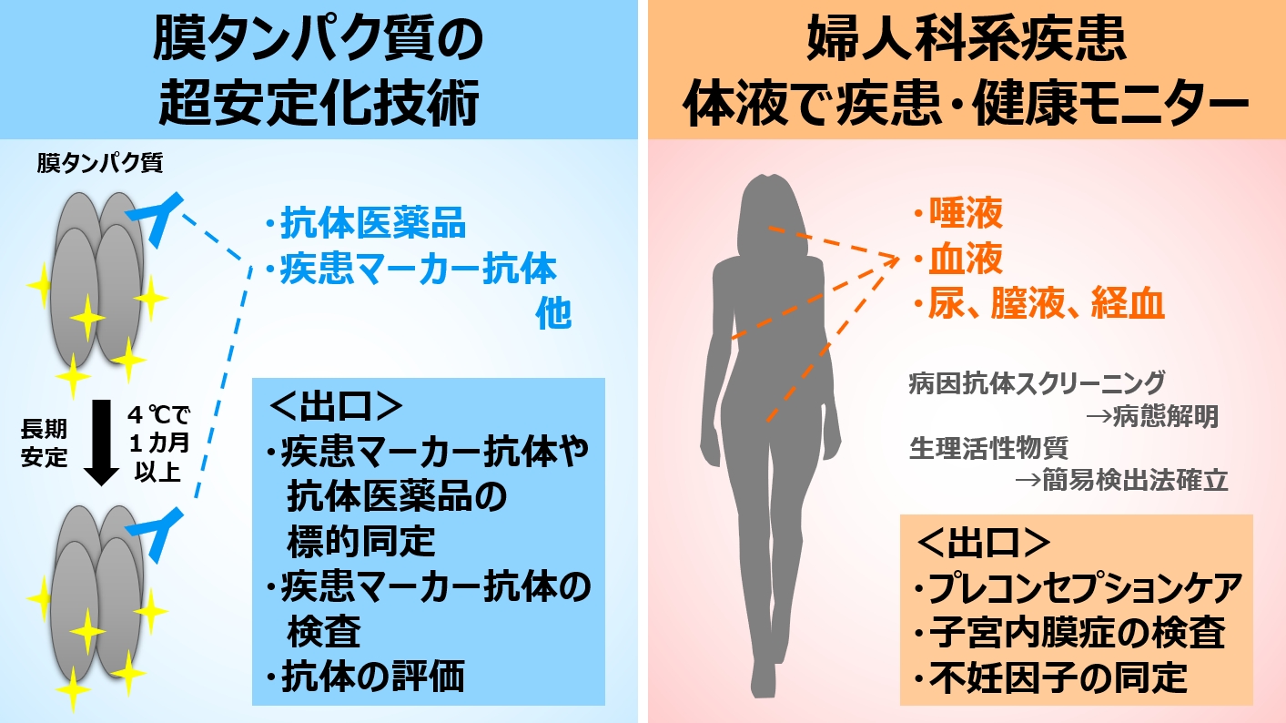 研究紹介図
