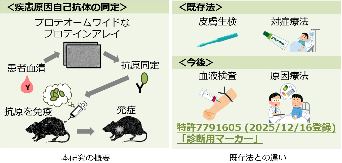 皮膚科疾患の診断用マーカー・治療法の図