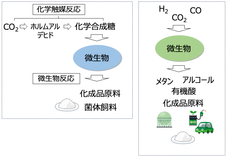 研究紹介図