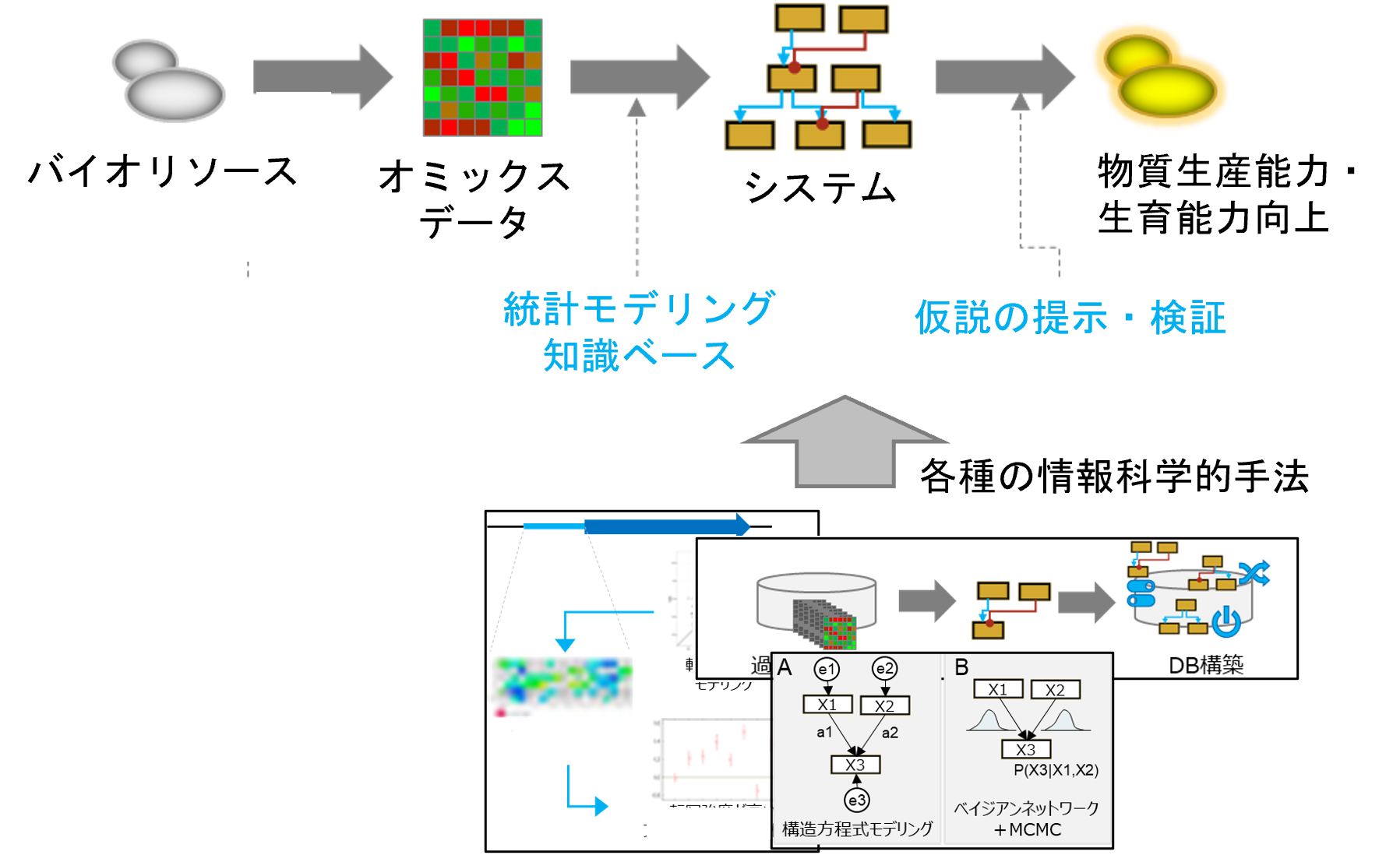 研究紹介図
