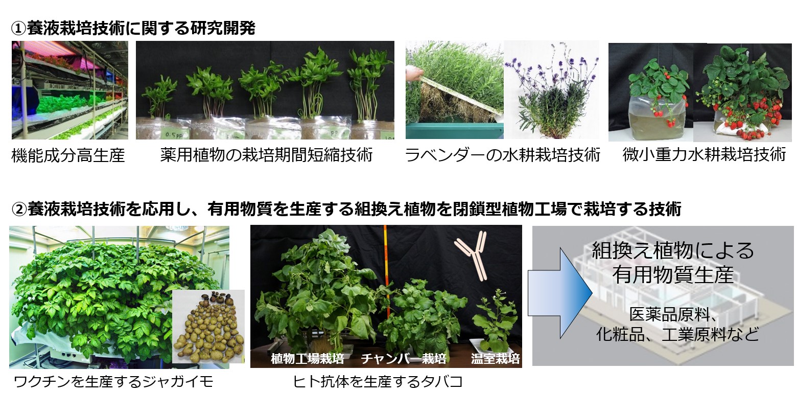 研究紹介図