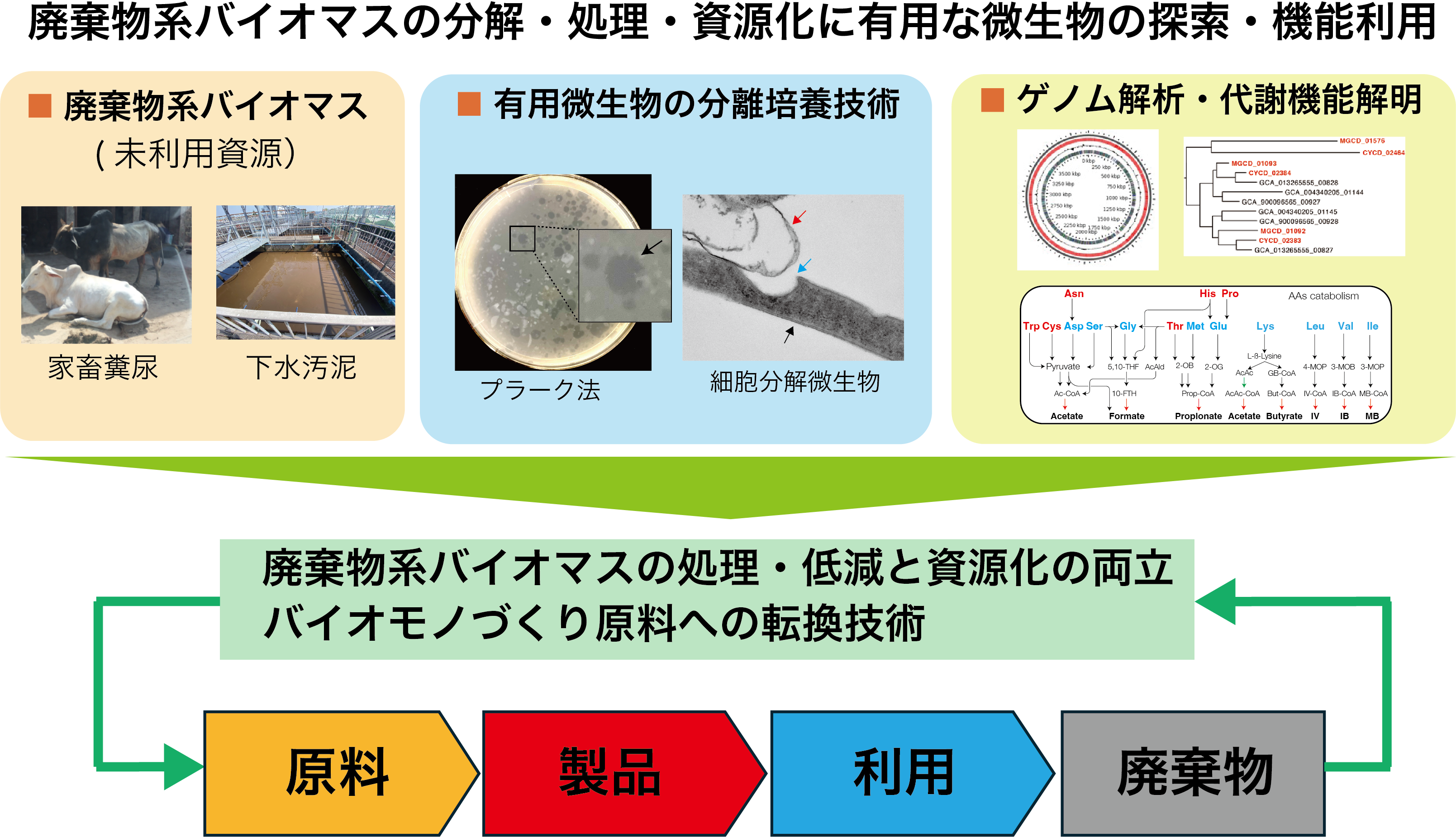 研究紹介図