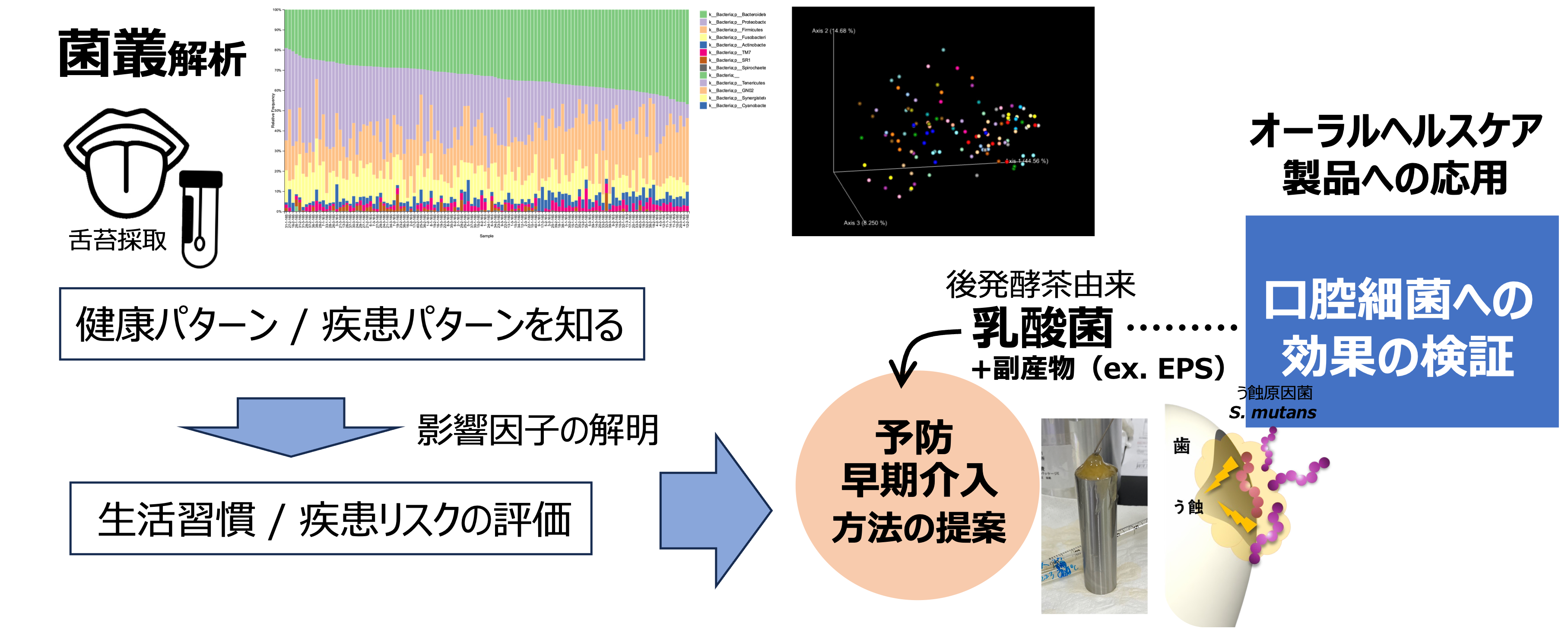 研究紹介図
