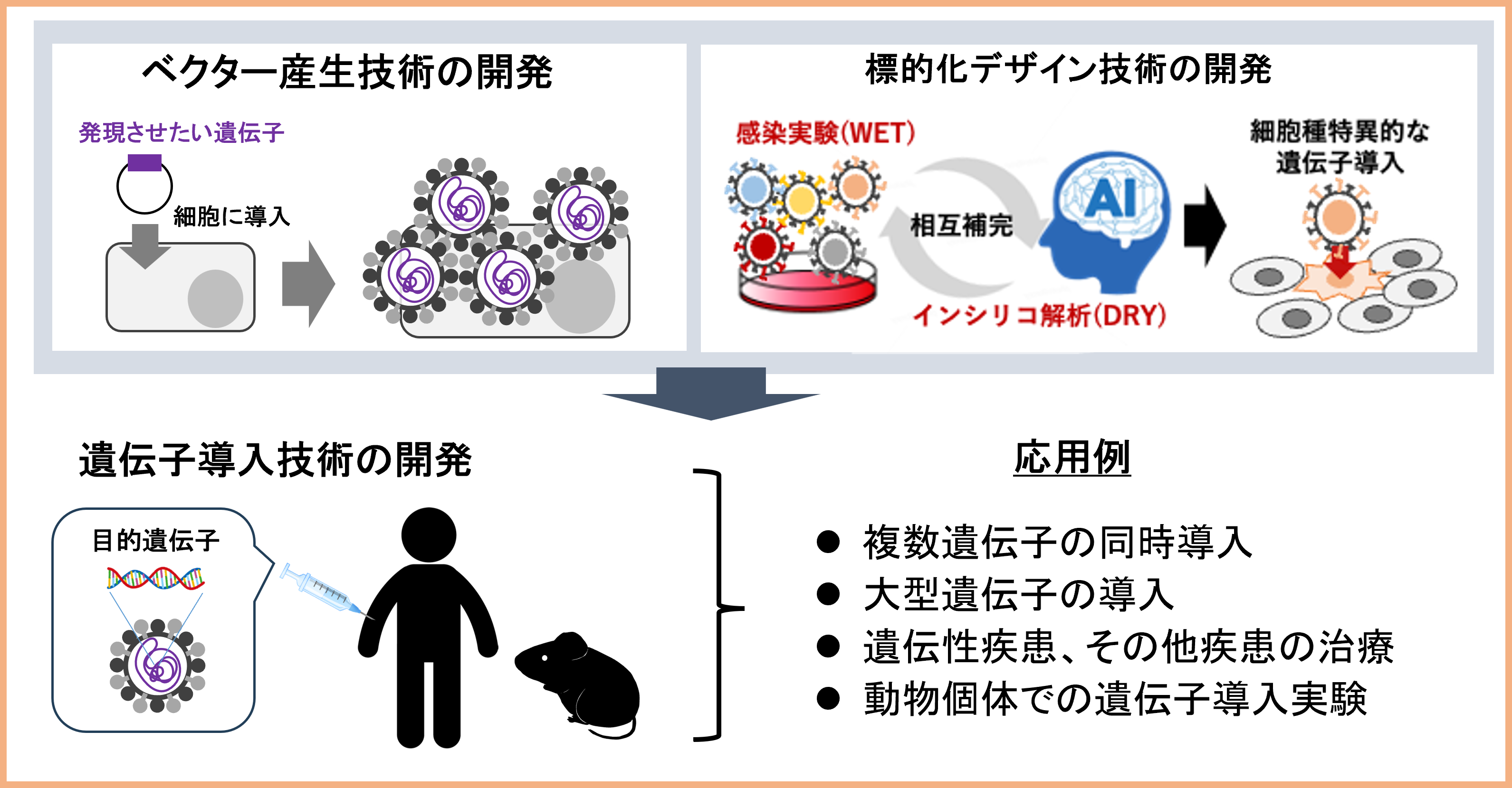 研究紹介図