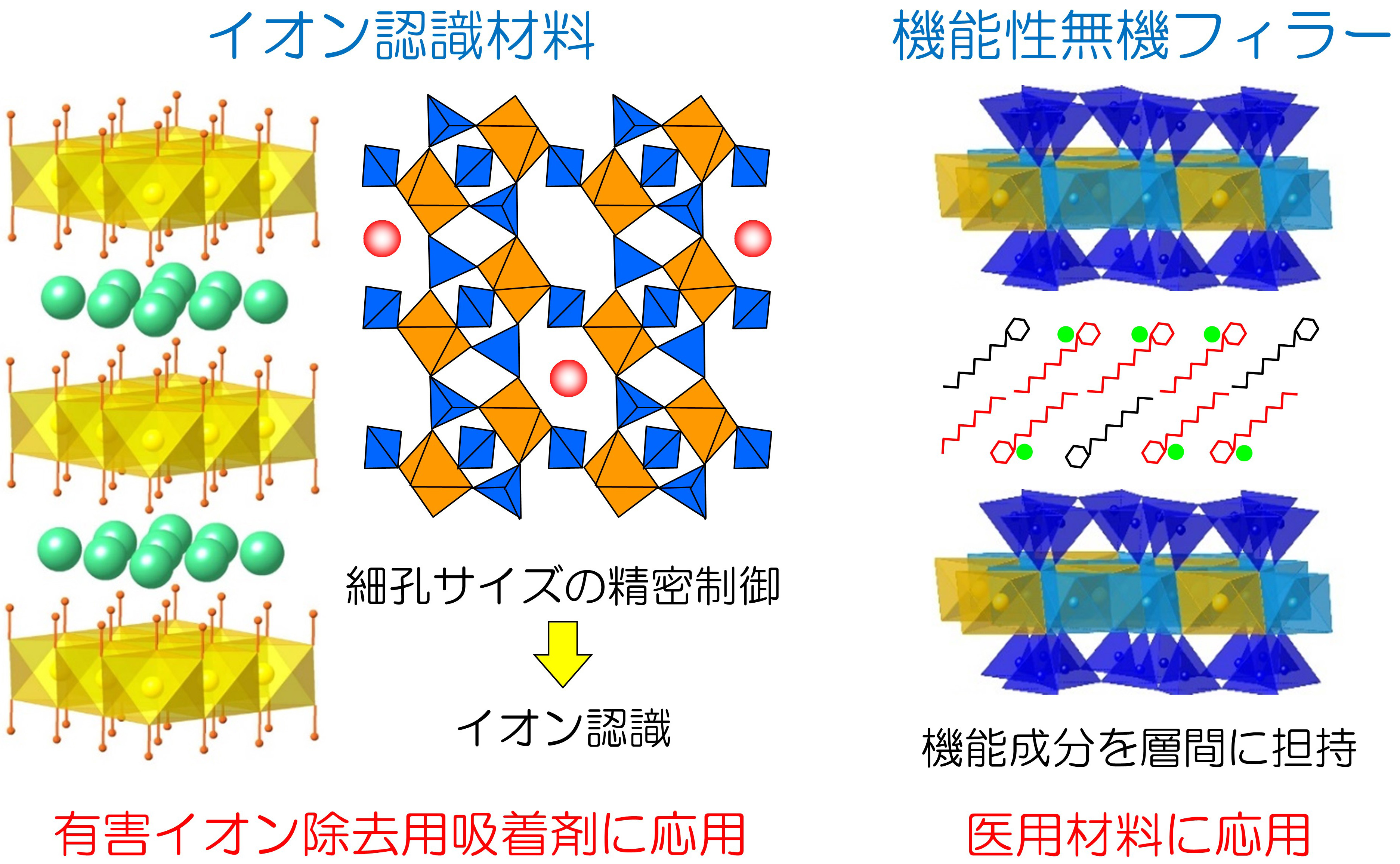 研究紹介図