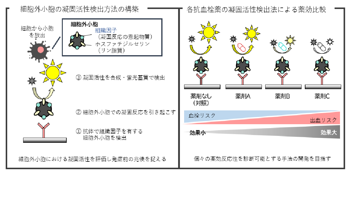 研究紹介図