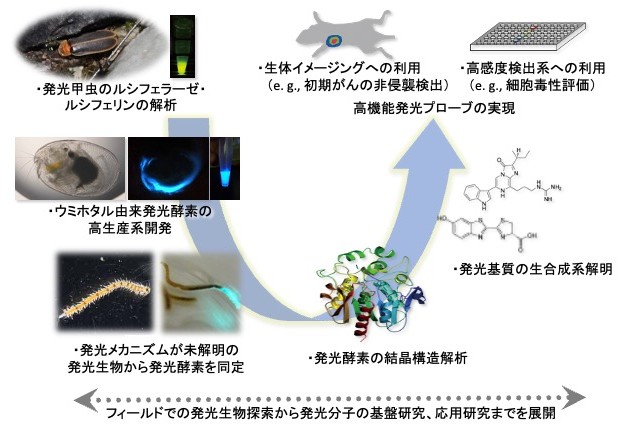 研究紹介図