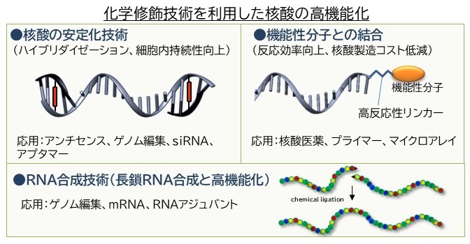 研究紹介図