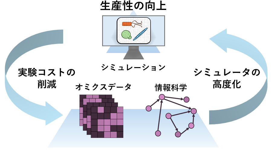 研究紹介図