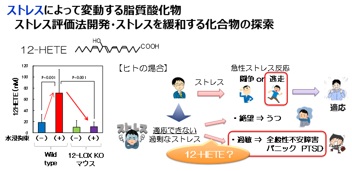 研究紹介図