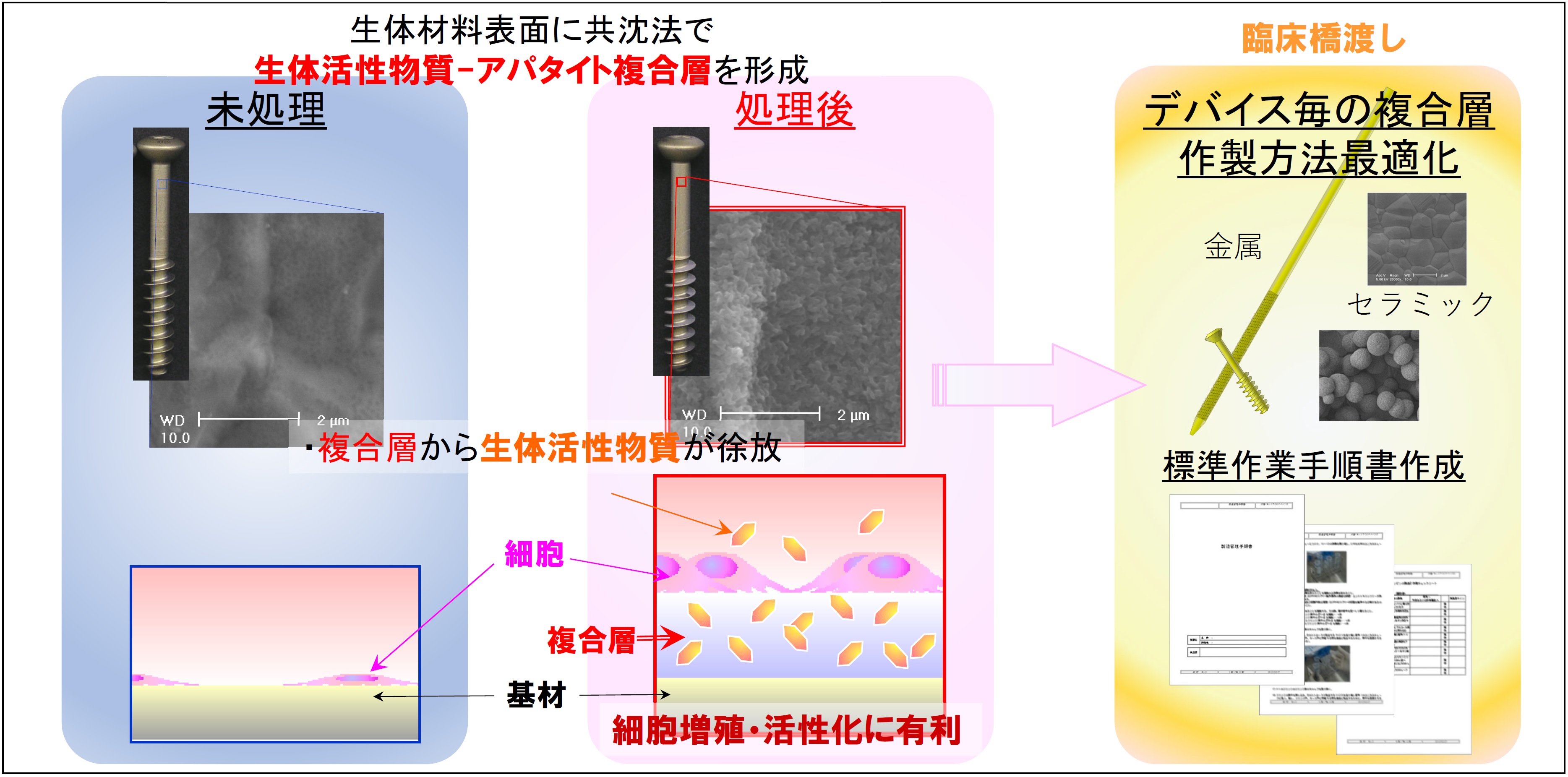 研究紹介図