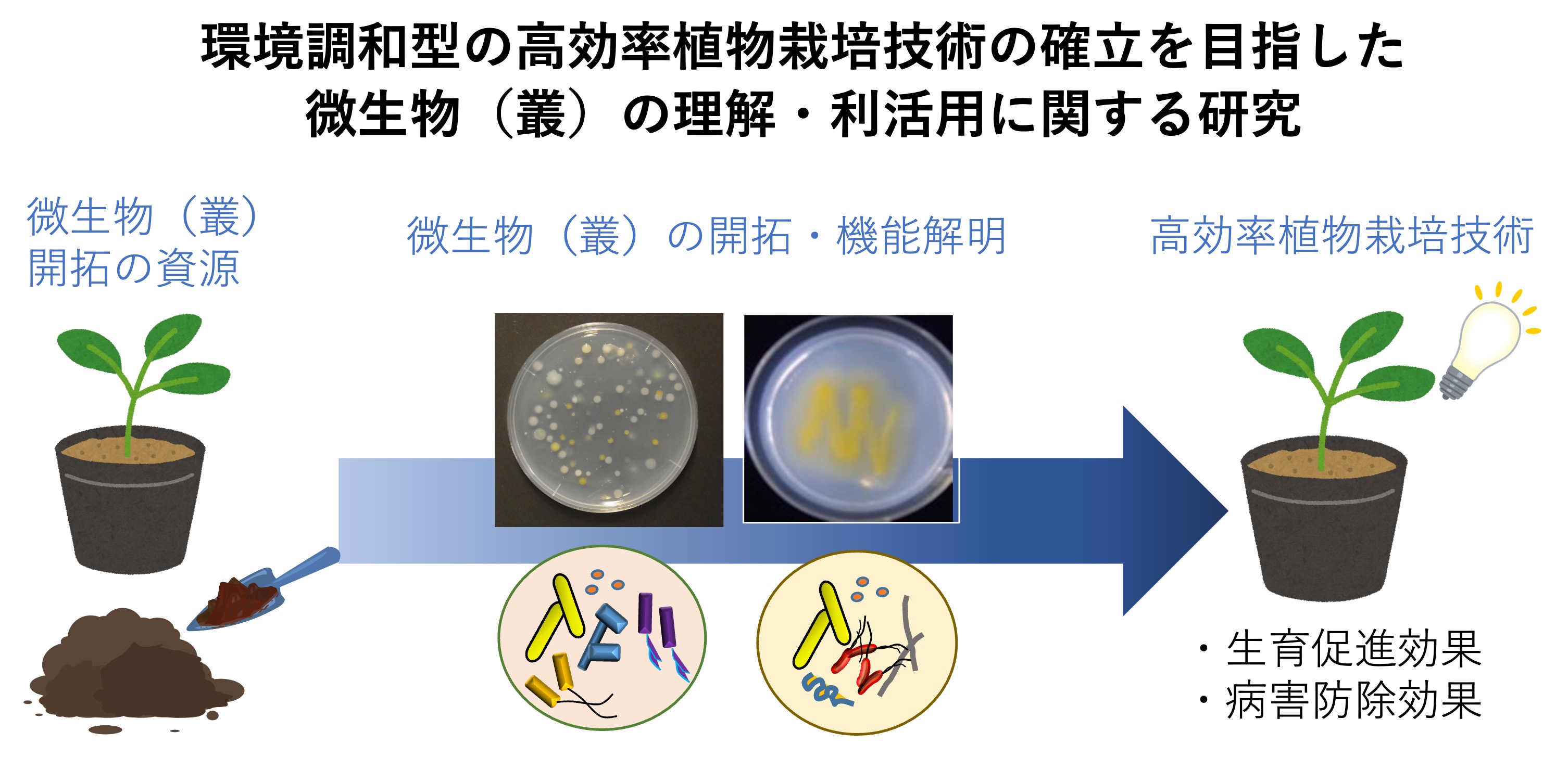 研究紹介図