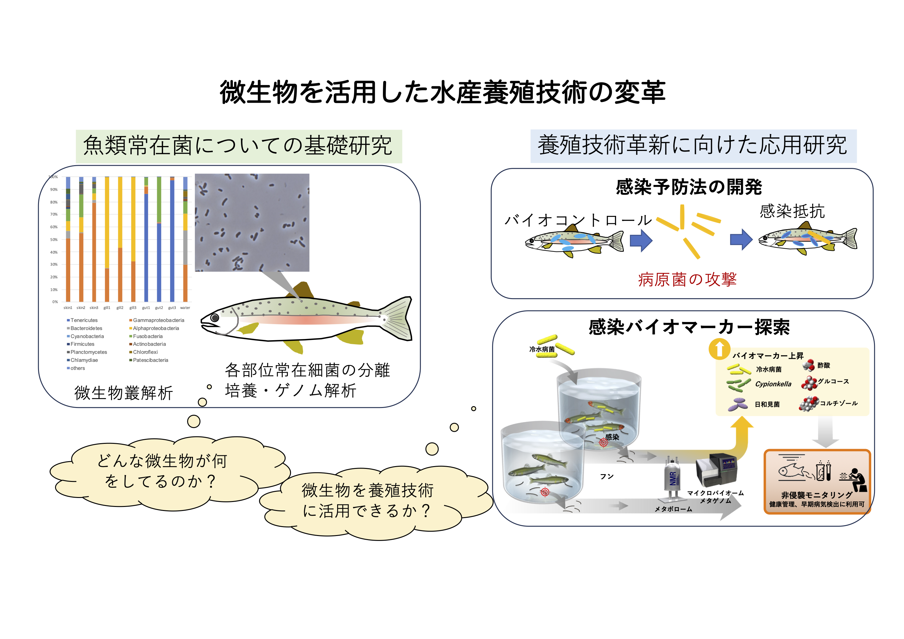 研究紹介図