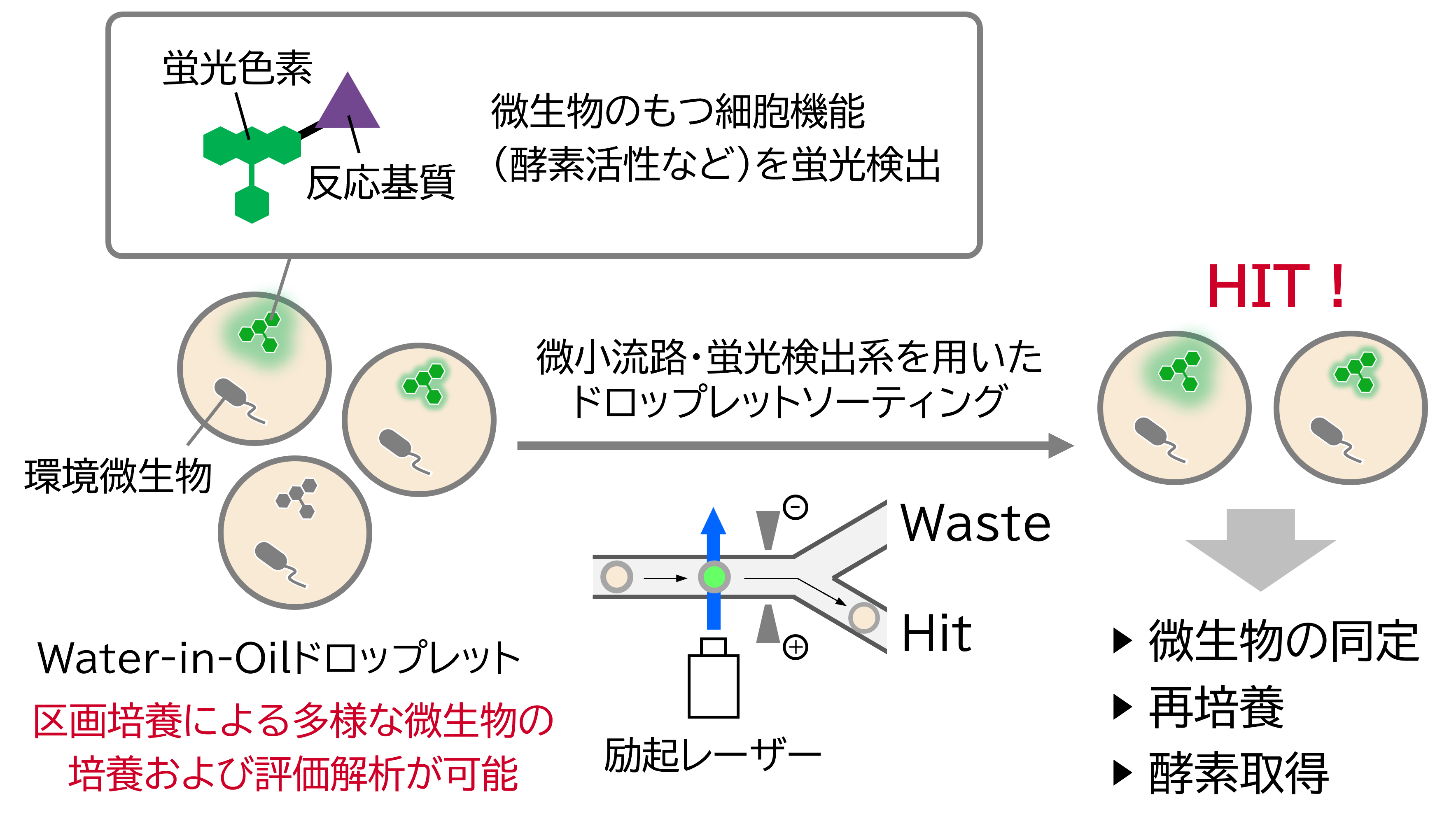 研究紹介図