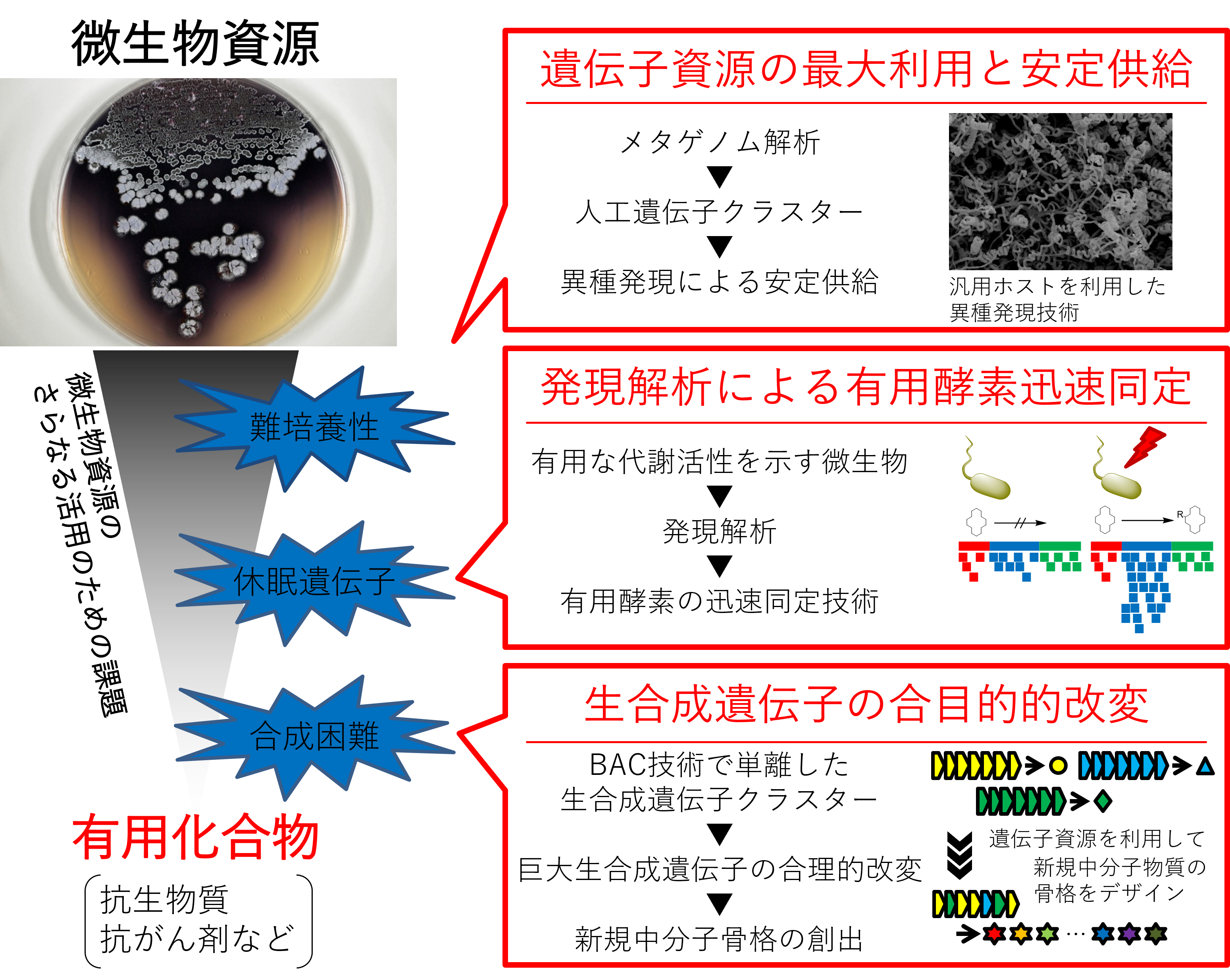 研究紹介図