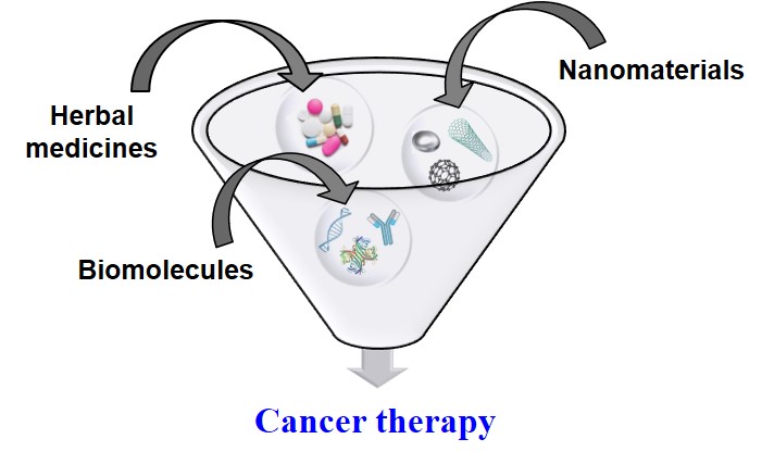 研究紹介図