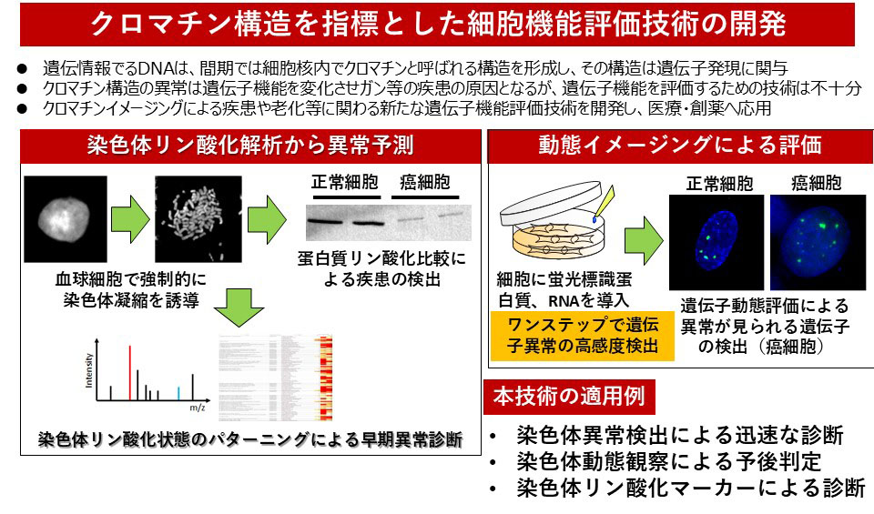 研究紹介図