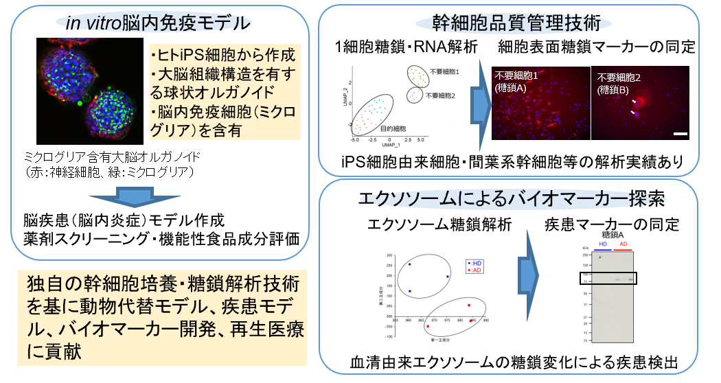 研究紹介図