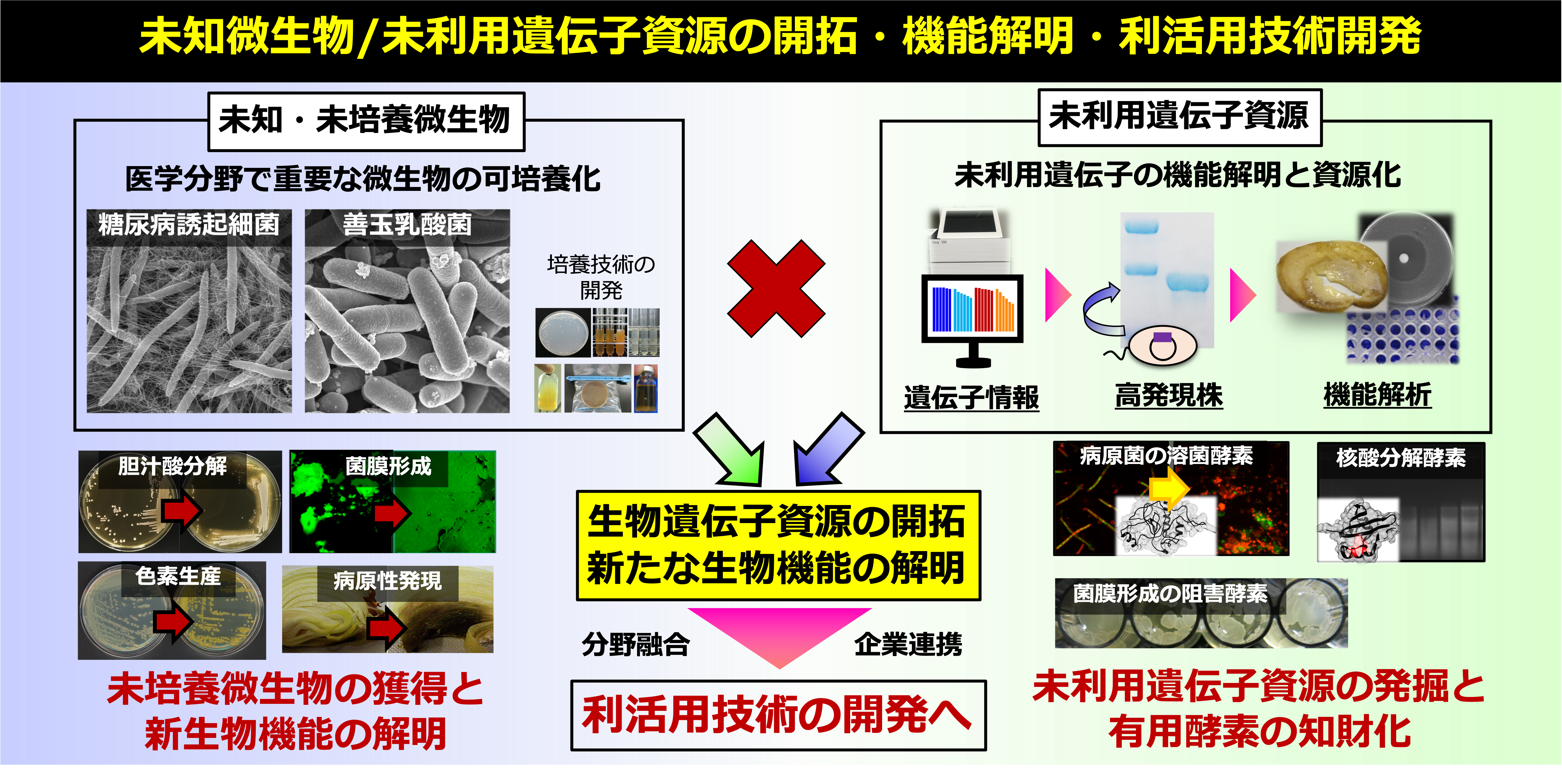 研究紹介図
