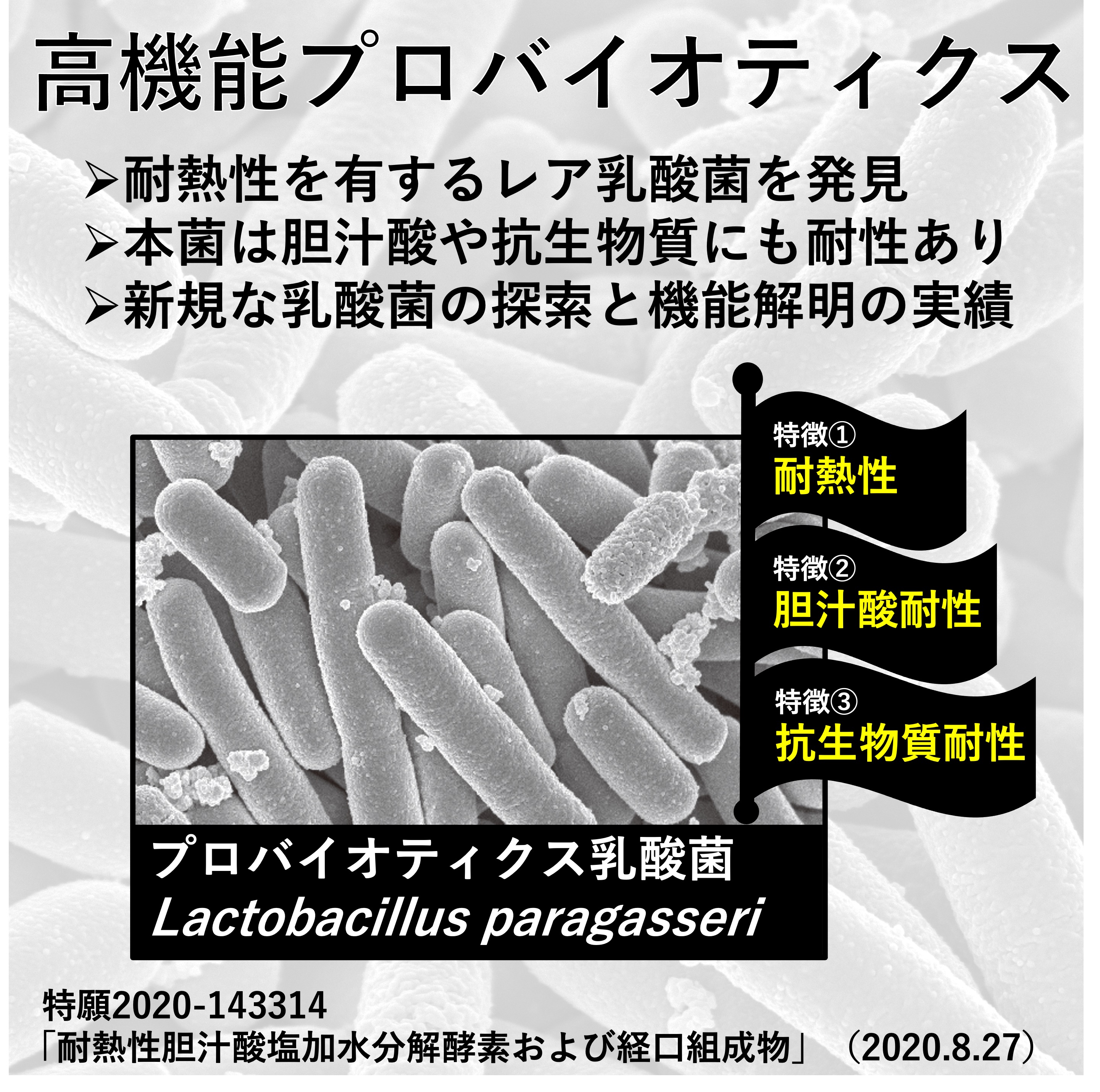 高機能性プロバイオティクス乳酸菌の開拓と機能解明の図