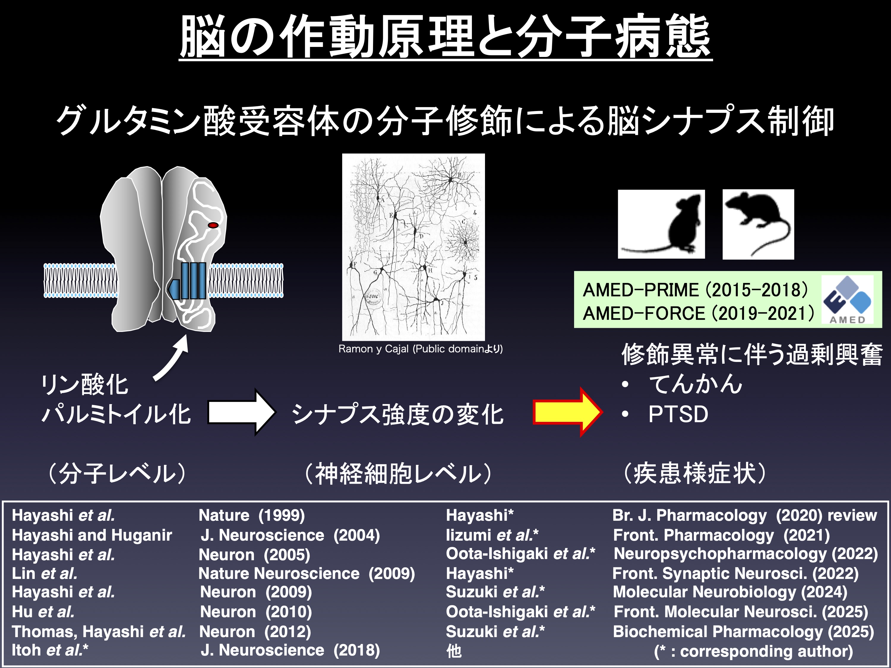 研究紹介図