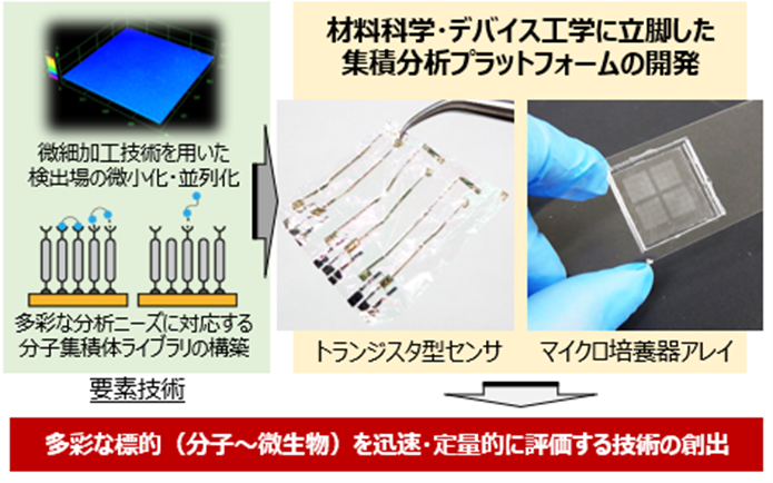 研究紹介図