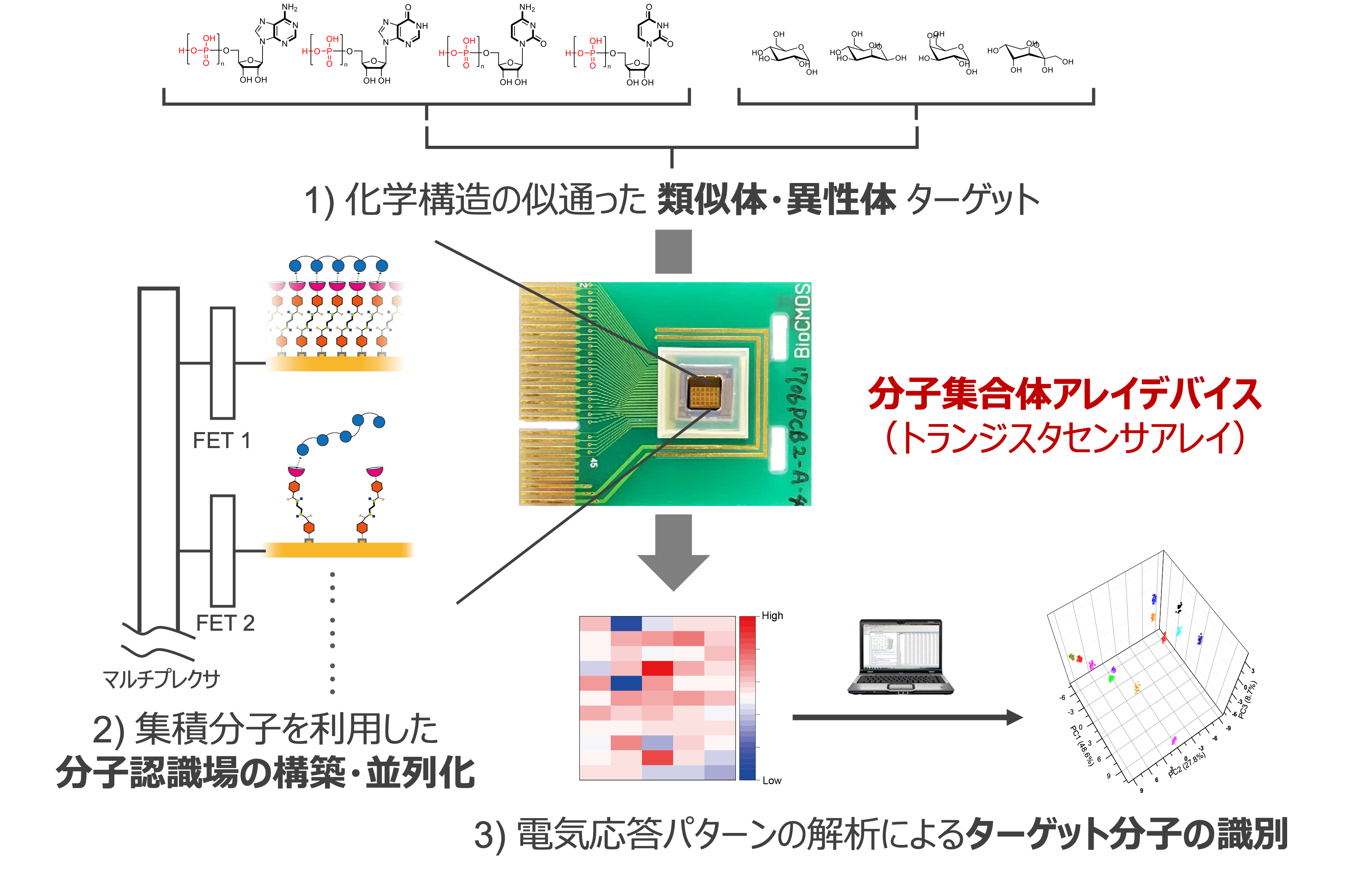 構造類縁体・異性体分子群の網羅的識別技術の図