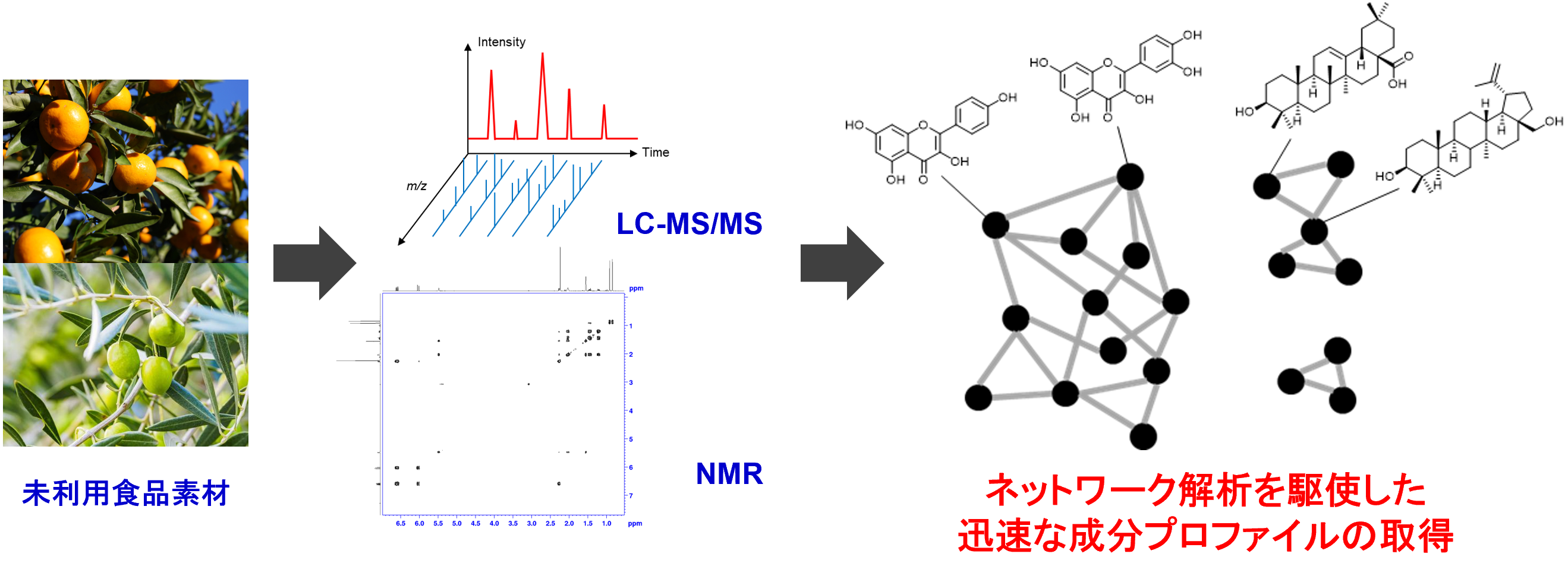 研究紹介図