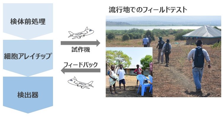 研究紹介図