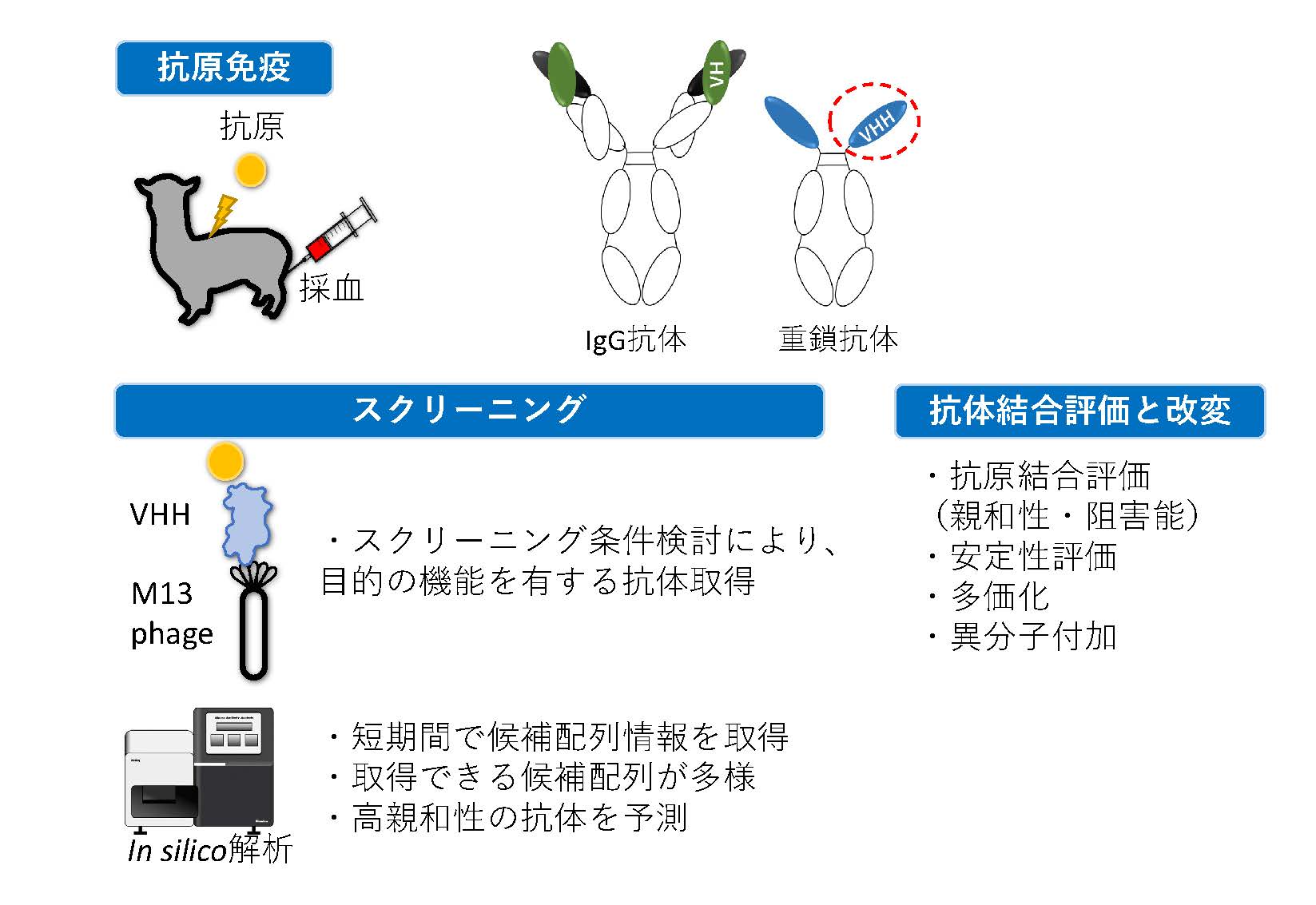 研究紹介図