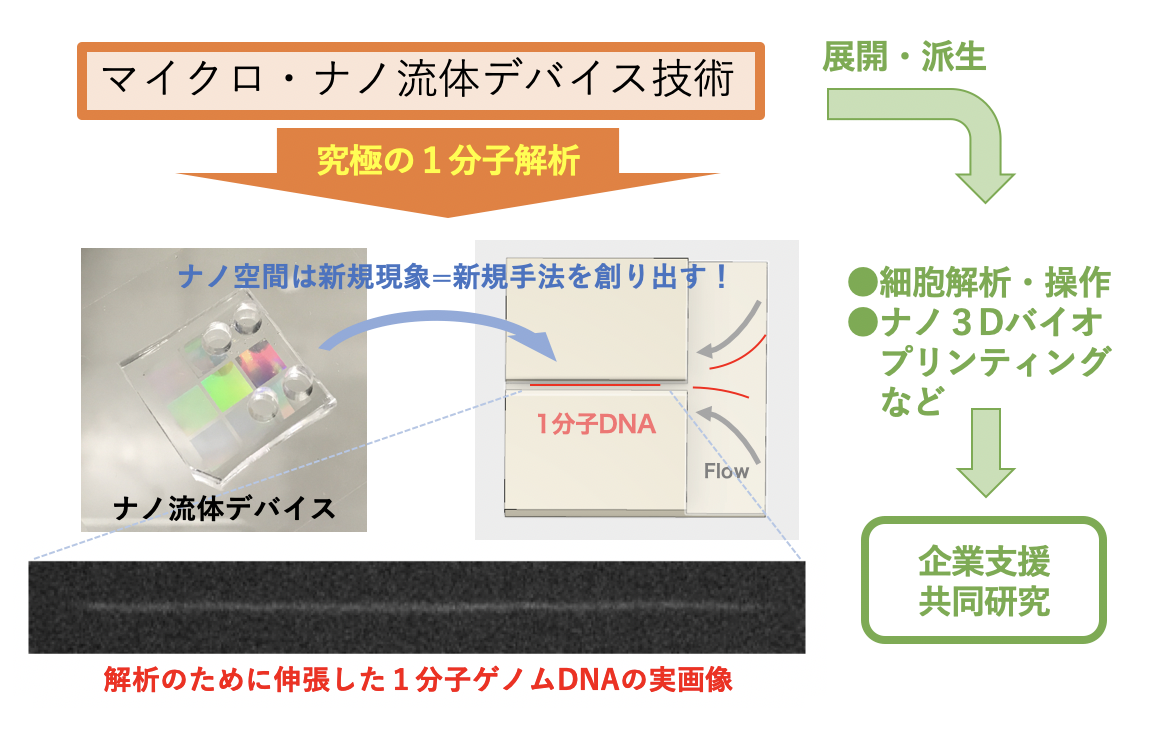 研究紹介図