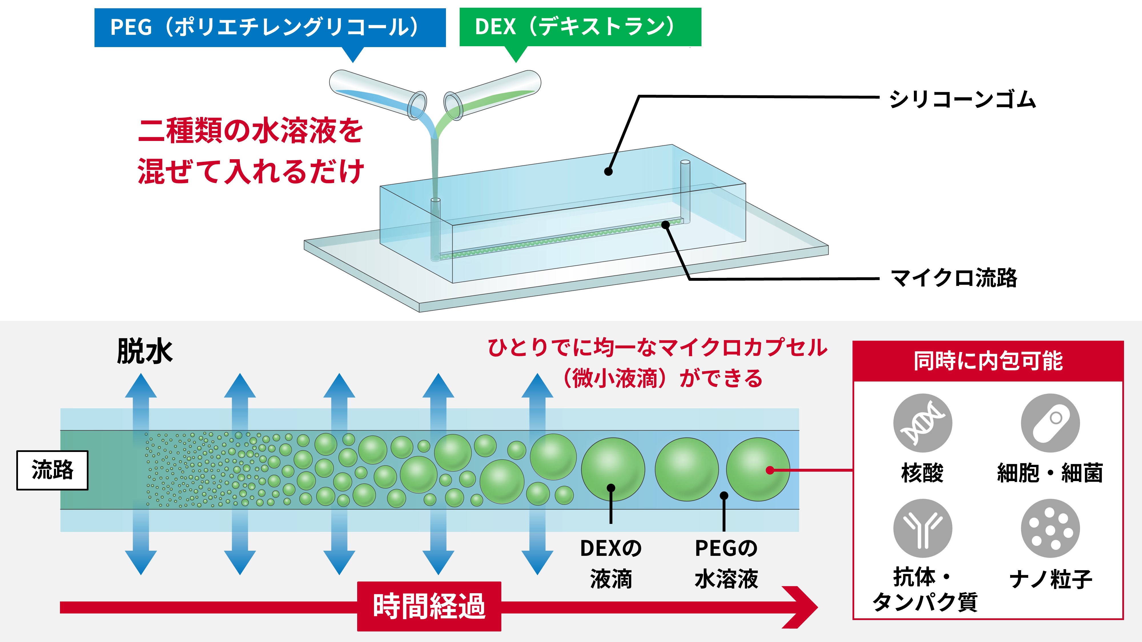 油・界面活性ゼロ・からだに安全な材料だけで微小液滴「マイクロカプセル」をつくるの図