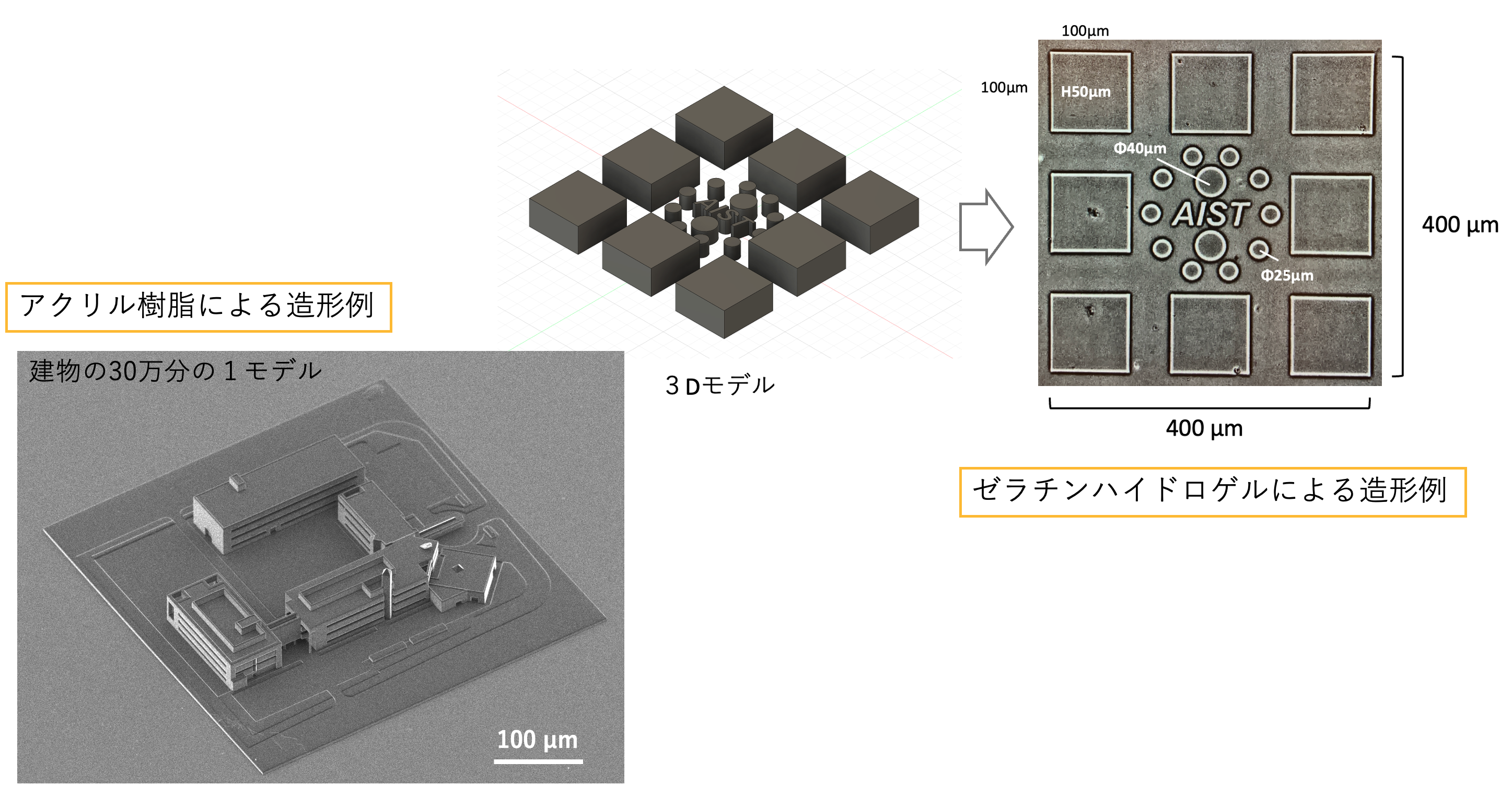 ナノスケール３Dプリンタ・３Dバイオプリンタの図