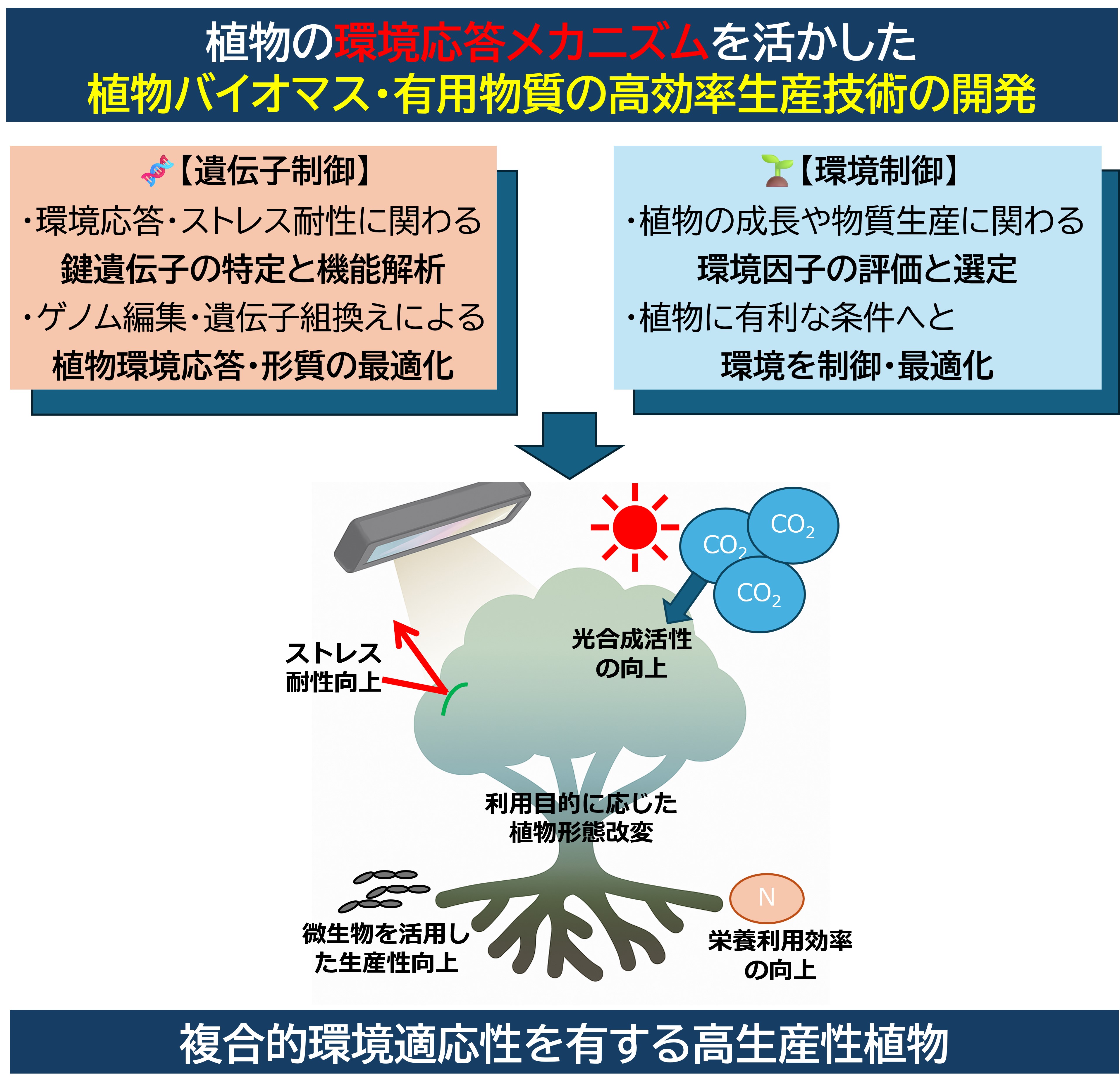 研究紹介図